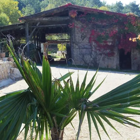 Zen Frühstückspension