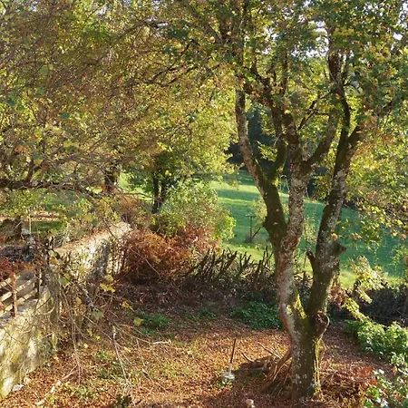 Zen Frühstückspension