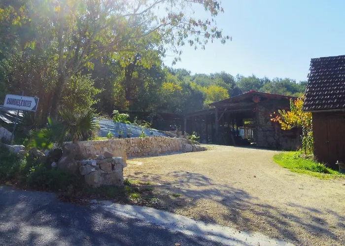 Zen فندق مبيت وإفطار دوم