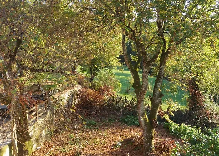 Zen فندق مبيت وإفطار